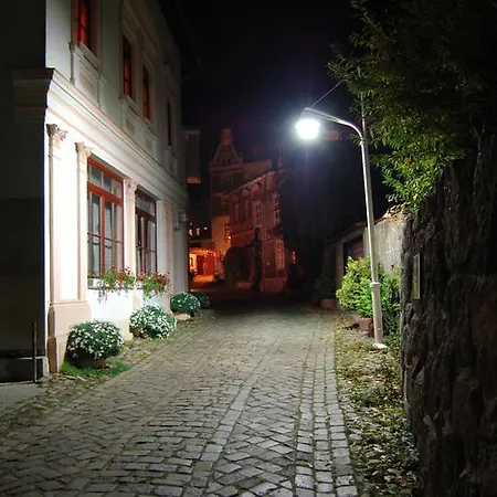 Villa-panter