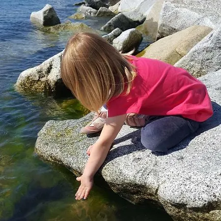 Villa-panter Sassnitz