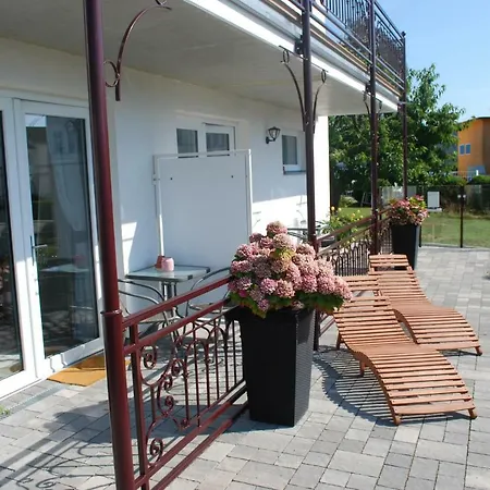 Villa-panter *